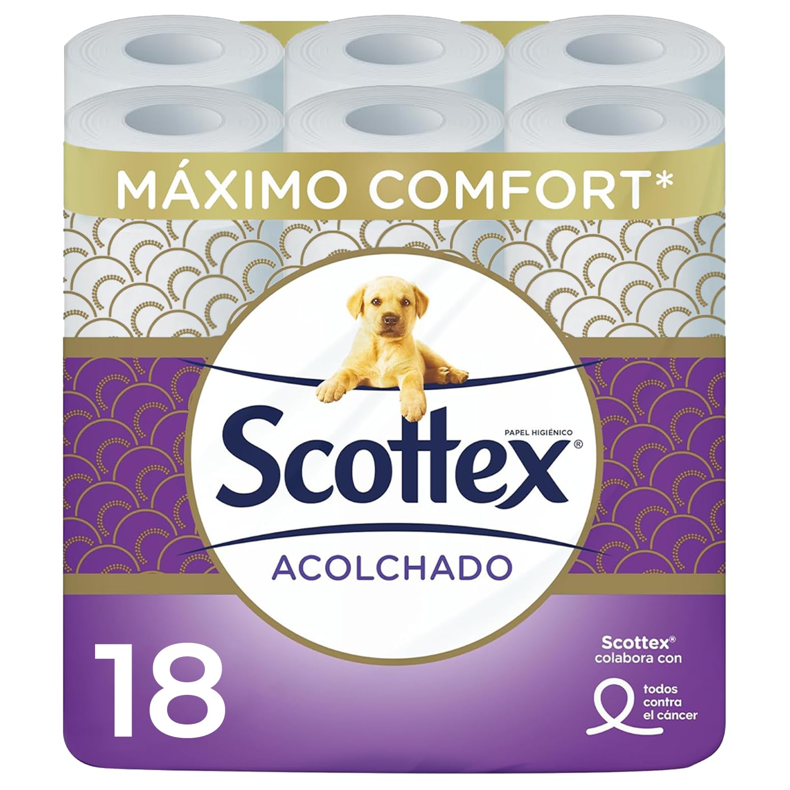 scottex carta igienica